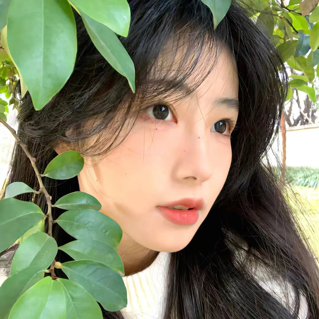 暗恋·橘生淮南2021